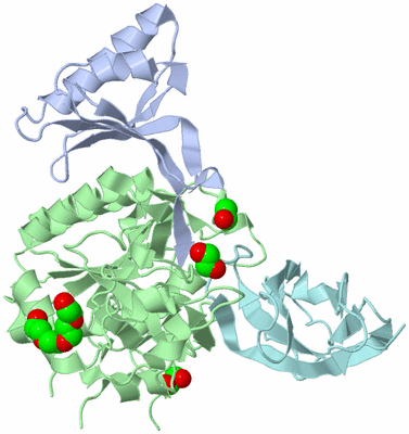 Image Biological Unit 1