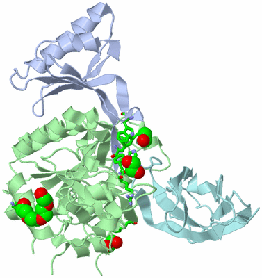 Image Biol. Unit 1 - sites