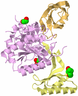 Image Biological Unit 2