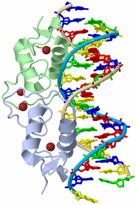 Image Biological Unit 1