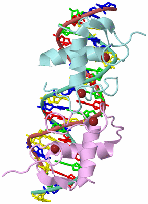 Image Biological Unit 2