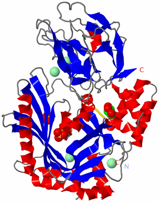 Image Asym./Biol. Unit