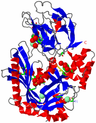 Image Asym./Biol. Unit - sites