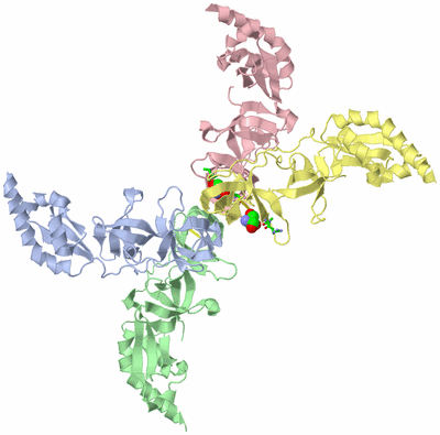 Image Asym./Biol. Unit - sites