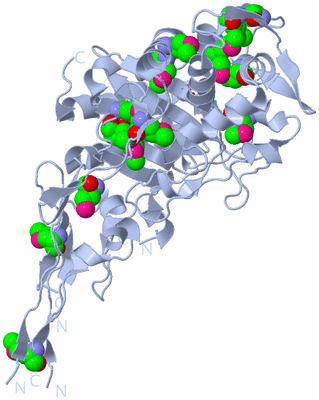 Image Biol. Unit 1 - sites