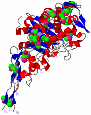 Image Asym. Unit - sites