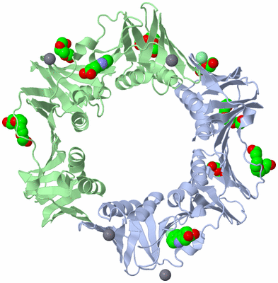 Image Asym./Biol. Unit