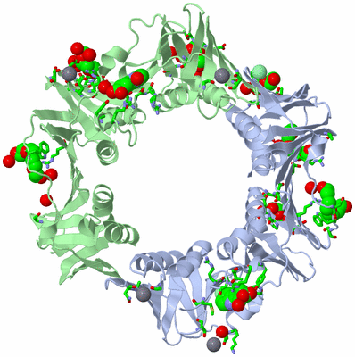 Image Asym./Biol. Unit - sites