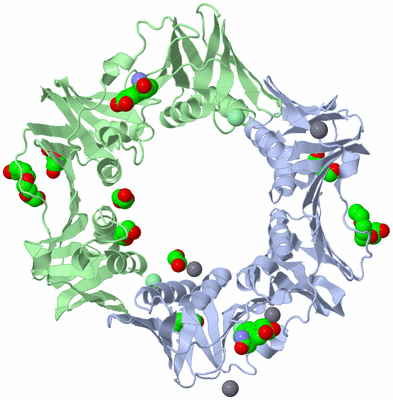 Image Asym./Biol. Unit