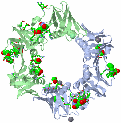 Image Asym./Biol. Unit - sites