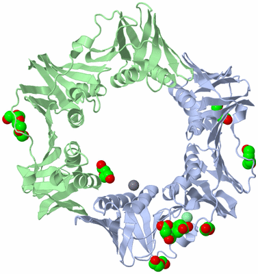 Image Asym./Biol. Unit