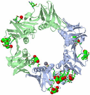 Image Asym./Biol. Unit - sites