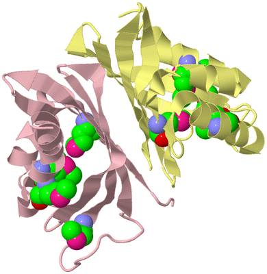 Image Biological Unit 2