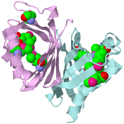 Image Biological Unit 3