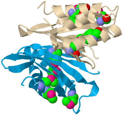 Image Biological Unit 5