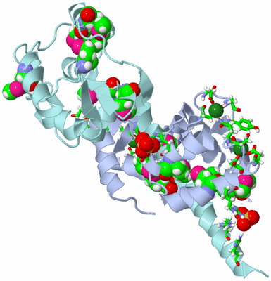 Image Biol. Unit 1 - sites