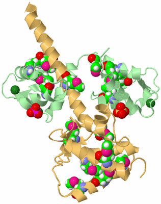 Image Biological Unit 2