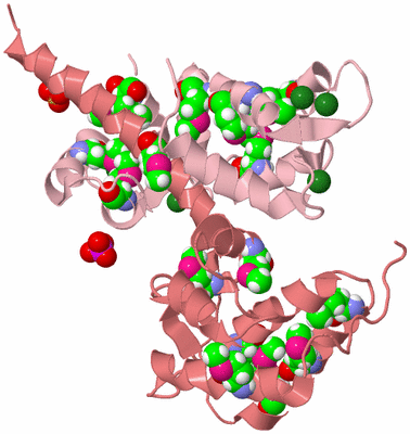 Image Biological Unit 3