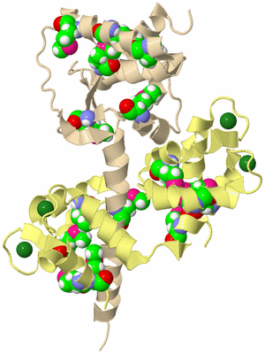 Image Biological Unit 4