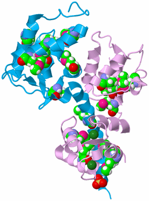 Image Biological Unit 5