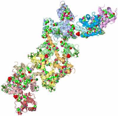 Image Asym. Unit - sites