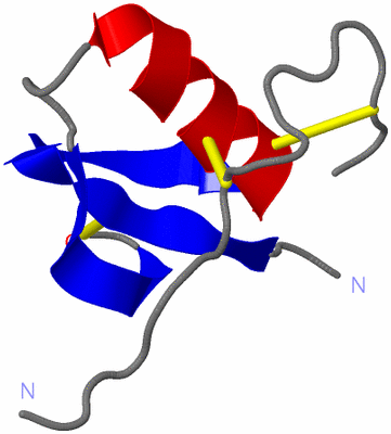 Image Asymmetric Unit