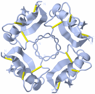 Image Biological Unit 2