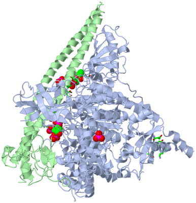 Image Asym./Biol. Unit - sites