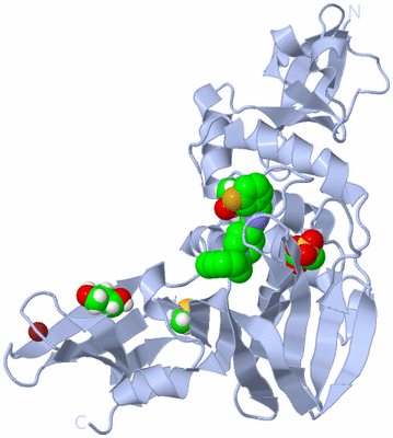 Image Biological Unit 1