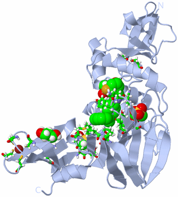 Image Biol. Unit 1 - sites