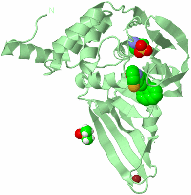 Image Biological Unit 2