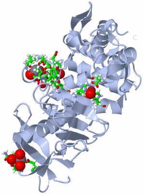 Image Biol. Unit 1 - sites