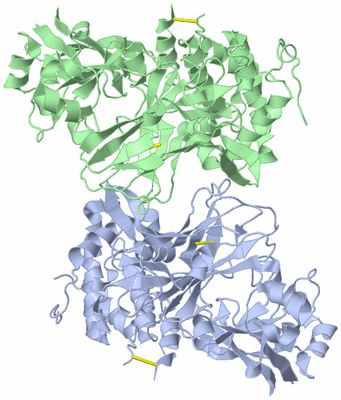 Image Asymmetric Unit