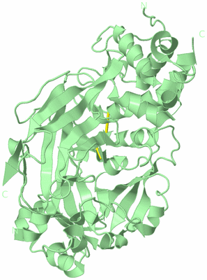 Image Biological Unit 2