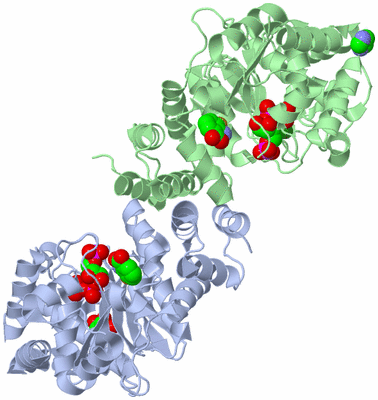 Image Asym./Biol. Unit