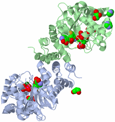 Image Asym./Biol. Unit