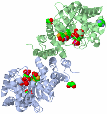 Image Asym./Biol. Unit