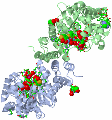 Image Asym./Biol. Unit - sites