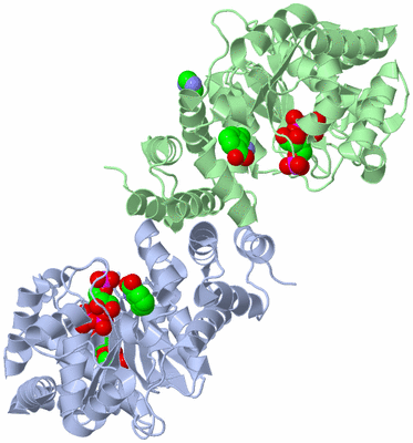 Image Asym./Biol. Unit