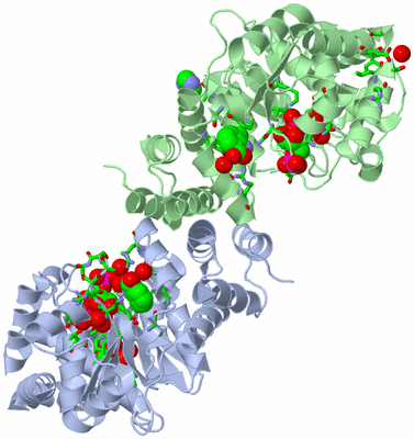 Image Asym./Biol. Unit - sites