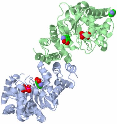 Image Asym./Biol. Unit