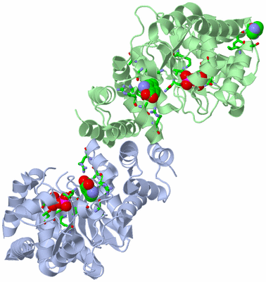 Image Asym./Biol. Unit - sites