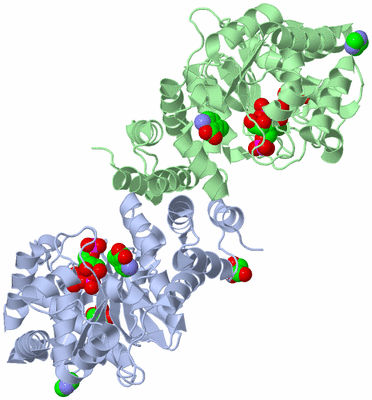 Image Asym./Biol. Unit