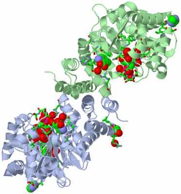 Image Asym./Biol. Unit - sites