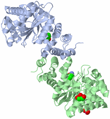 Image Asym./Biol. Unit