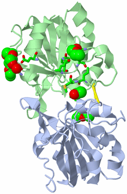 Image Biol. Unit 1 - sites