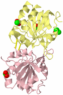 Image Biological Unit 2