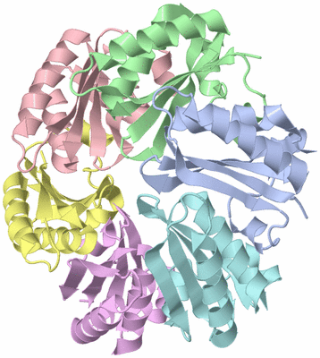 Image Asym./Biol. Unit