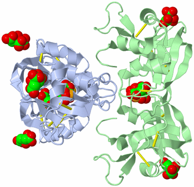 Image Biological Unit 1