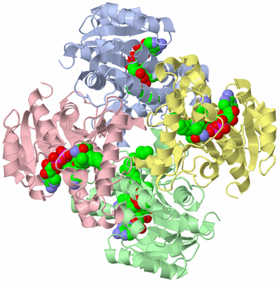 Image Asym./Biol. Unit